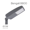 Bengali 8800 (5).png