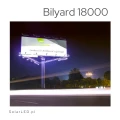 Bilyard  (7).png