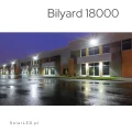 Bilyard  (8).png
