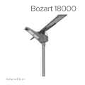 BOZART (3).png