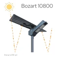 BOZART (15).png